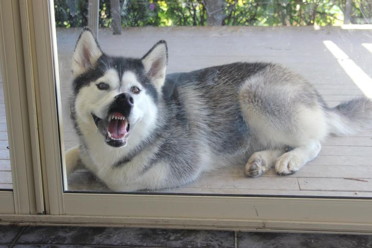 3888de5860936211d2f1eccc81