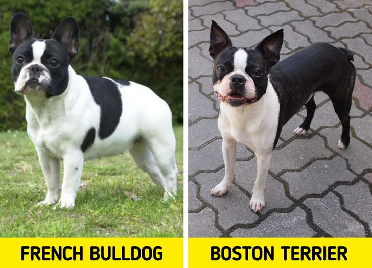 388e0351a4a3e77bacfa48006b