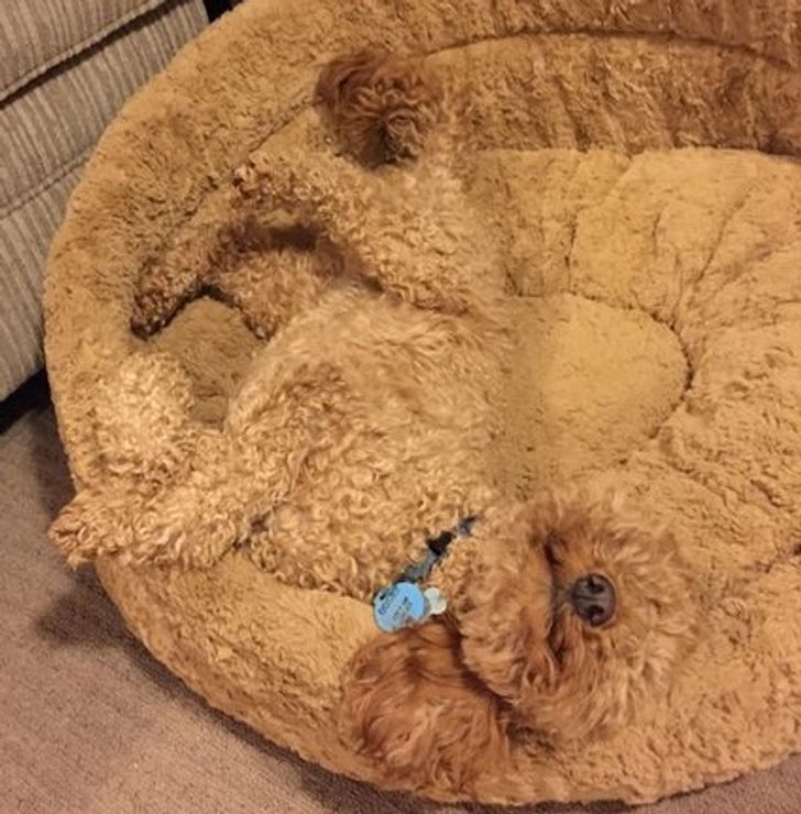 3892a455019ae5baf3096c9bfb