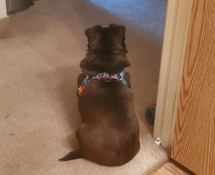 3899f456af8eba1cd87a7524a4