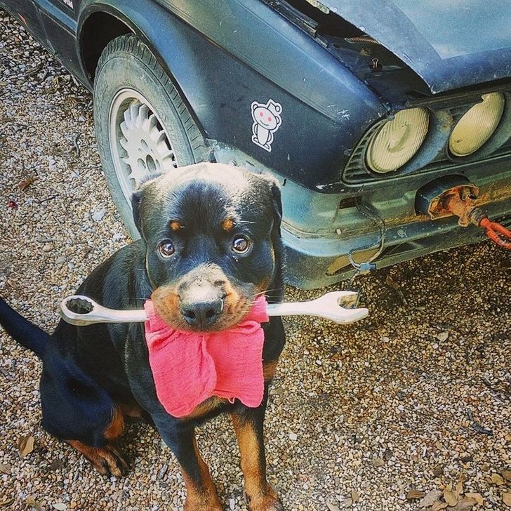 389d405938aa58429d2267f915