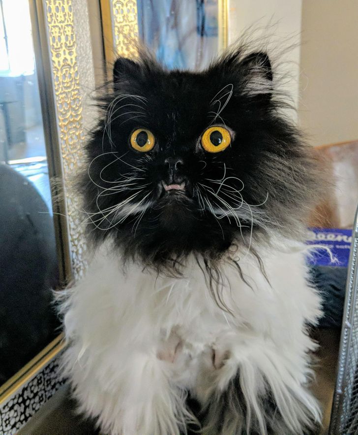 389f915201a5a2f0e0ec3da5b7