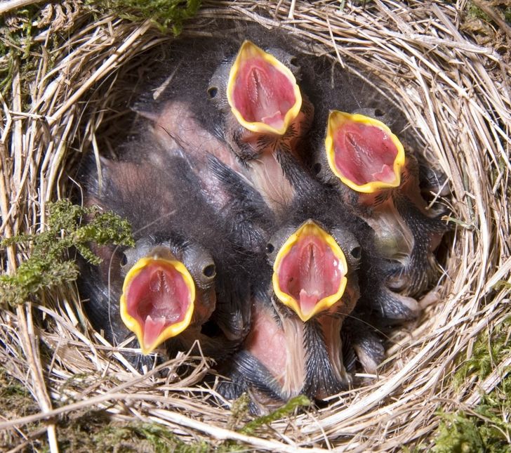 38a39b5b65a999ca3c7adb97ea