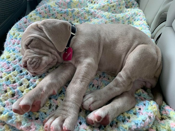 38b576538385bcca6a61ff81d2