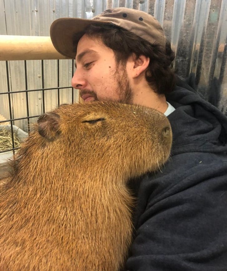 38b8fc57158ecdc925d686b3b2