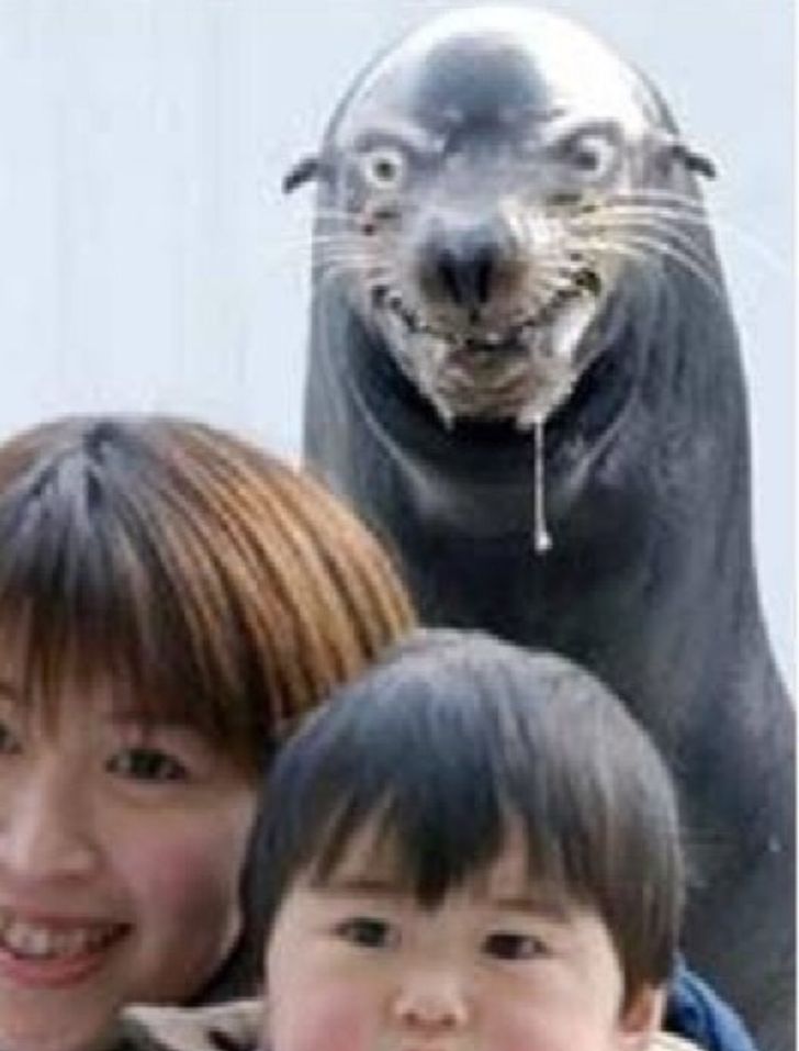 38b93557b2a9fbb3477304f041