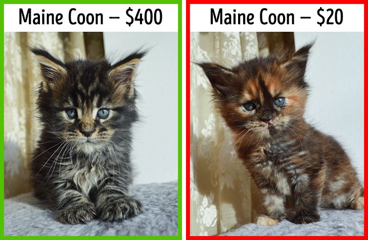 38bd3d58968ed1f89347124ed4