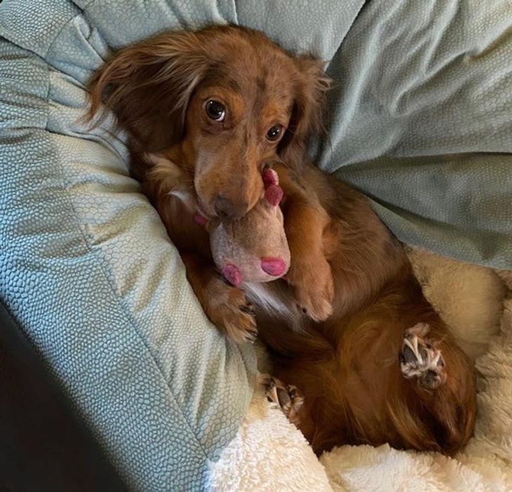 38c42c500fbb5ba792ac04e5cf