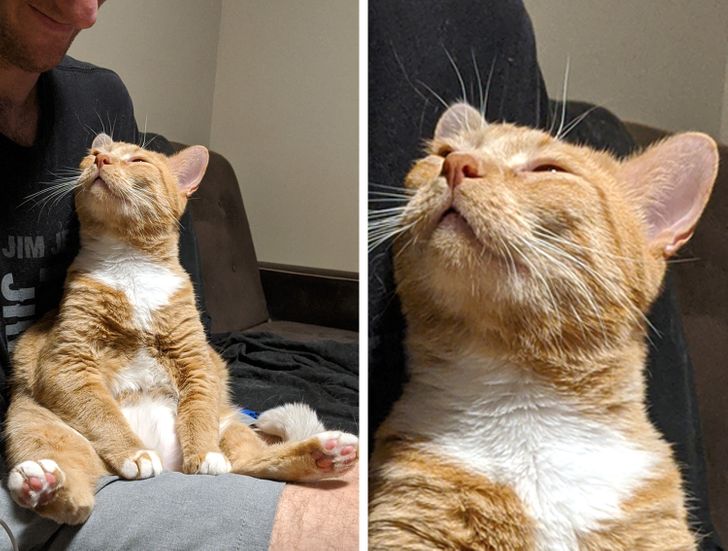 38c49658eca47dd9a437af0c2e