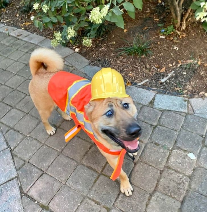 38d1d75c2fbeecf5dca51811e3