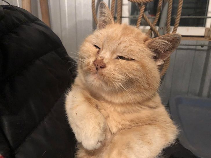 38d2755e7eab55d34a05e1ef4c