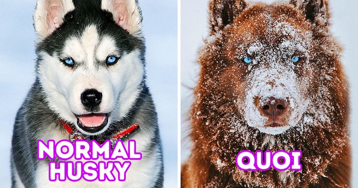 38da895470b824db6ef8728629