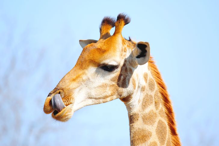 38dd335464913996c914bec41a