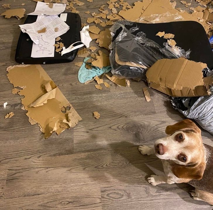 38e4735170bbe2201ba40e143b