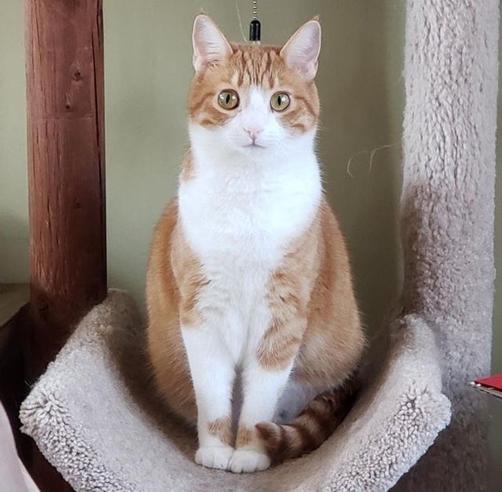 38ef82516fb9cde9207f0088af