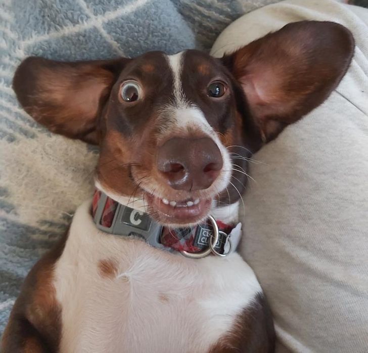 38f01857e58eb2883d7eec9eb7