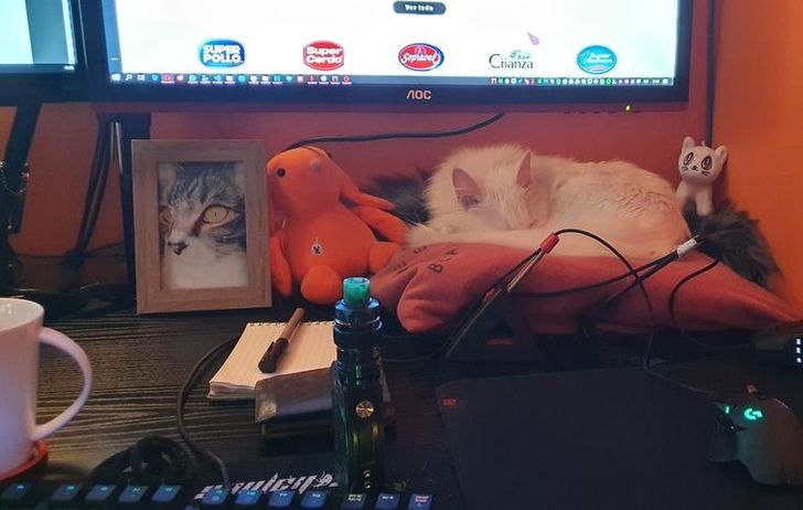 38f45a5842a33351279a2f10aa