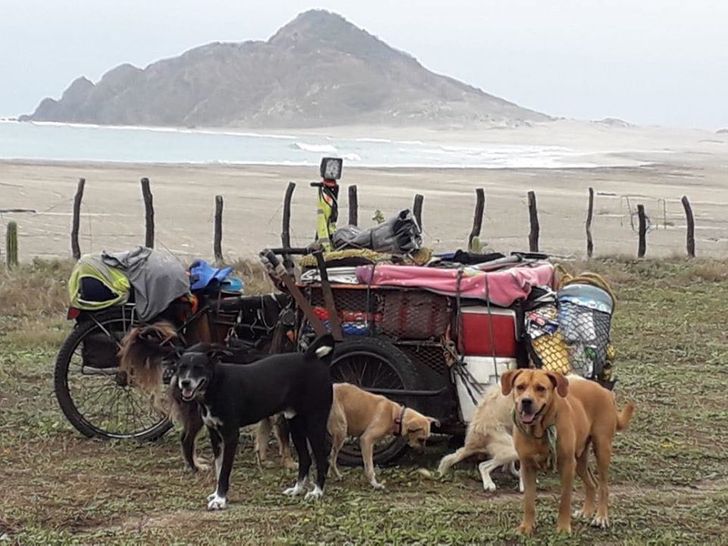 38f6ef5c99b8921a7093e4e6a6