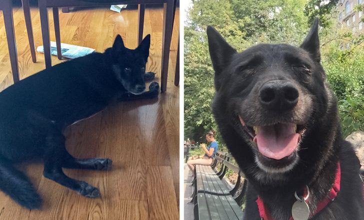 38f7ea5c179e0fba68f677f9bf