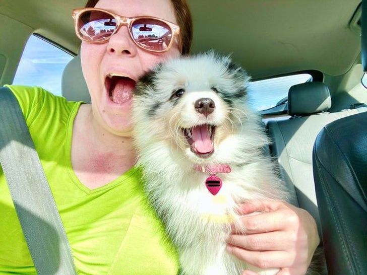 38fc815e718b3300cb9a491595