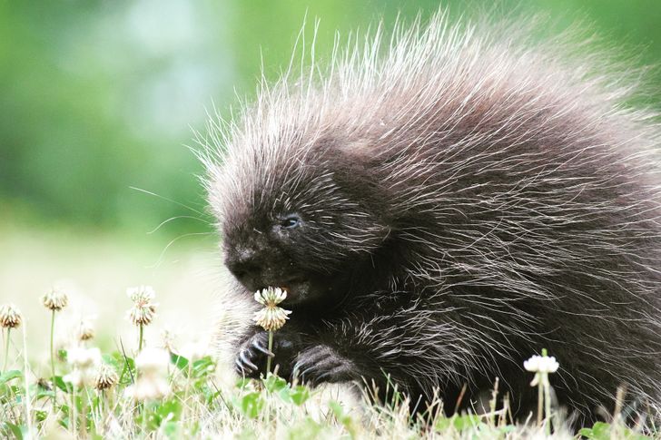 38ff6155148414cac52cfa3c7d