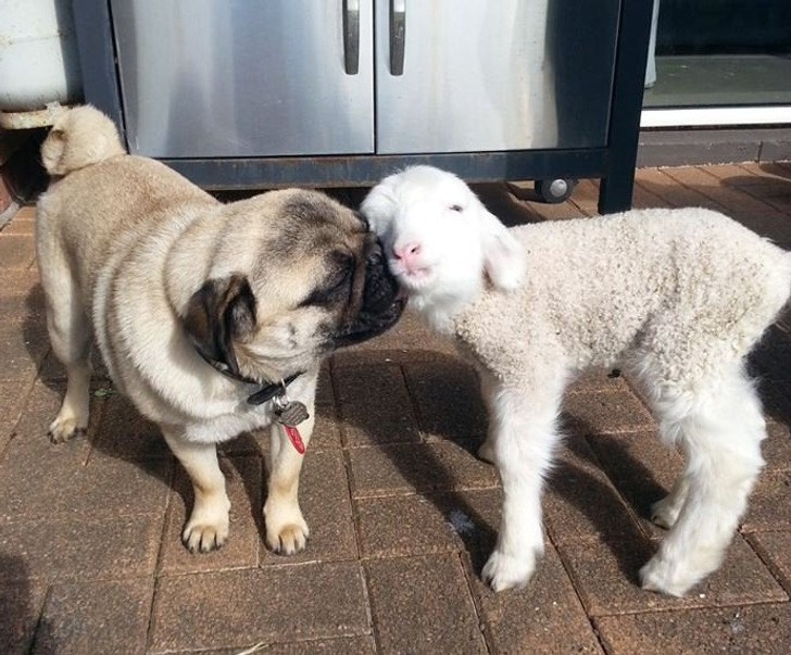 3900f1557d9955355f619ed237