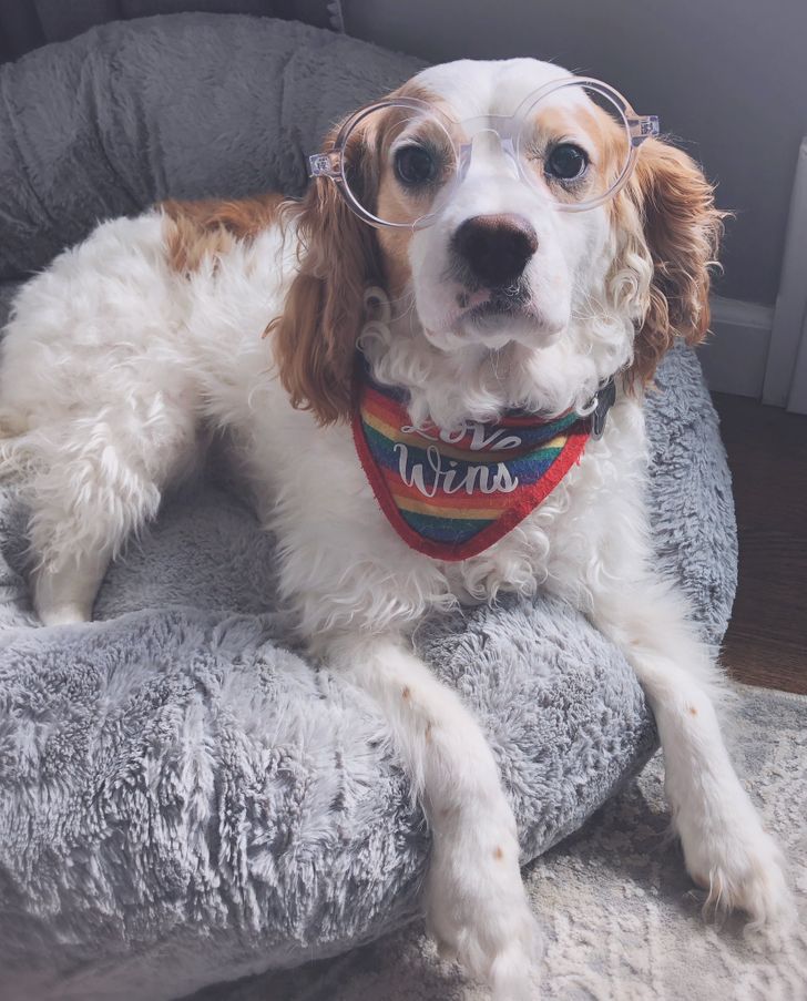 39020054b0b71ce83af64a13be