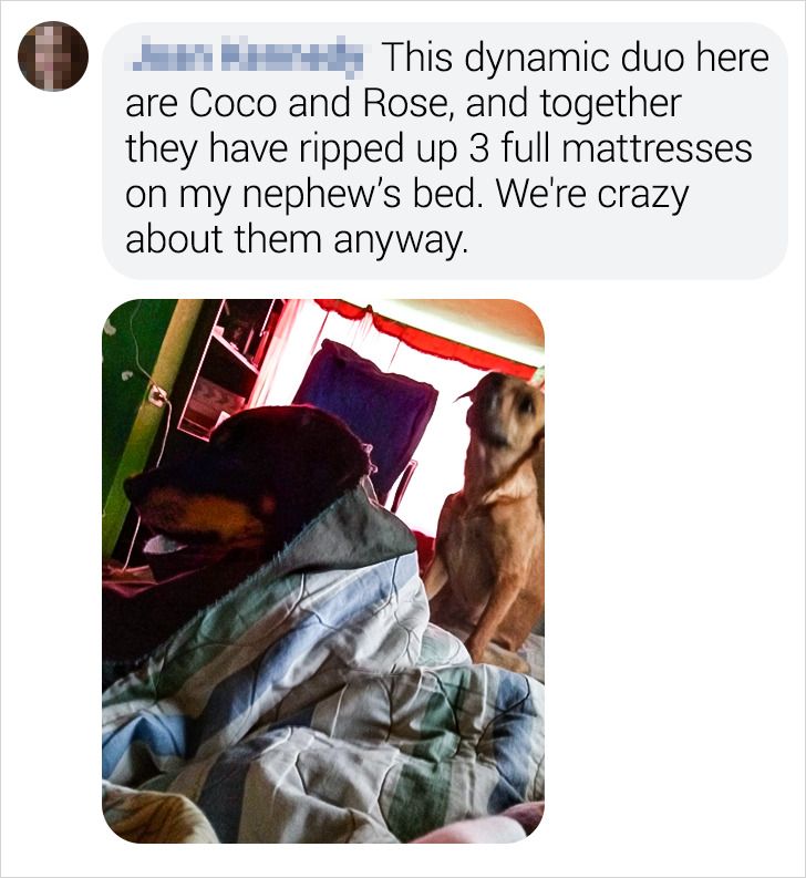 3906575c2b81d6f8d587f9c7d9