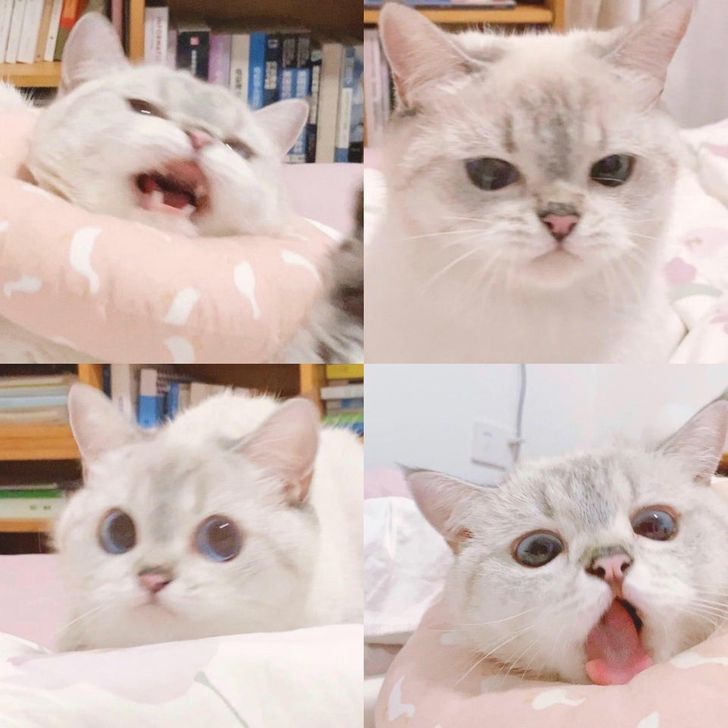 390b125019b62378de3f44ed7c