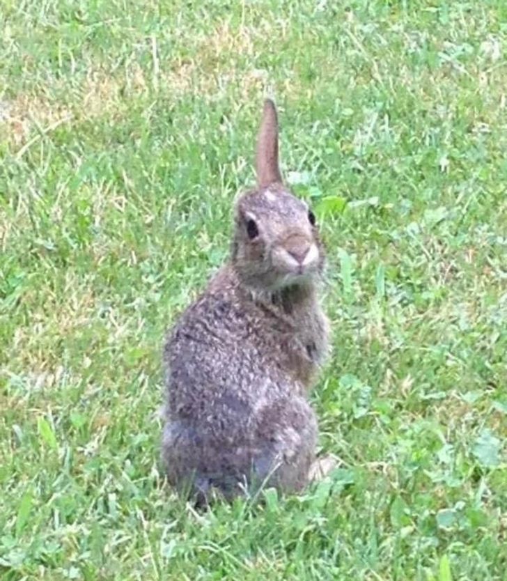 390d7a573ab0ba6a35401d4eca