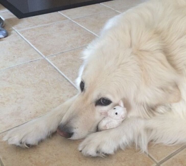 390feb5a40a2afecc97d2e0355