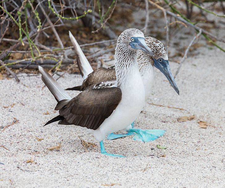 391c7b56c9b12070e7fa60cce4