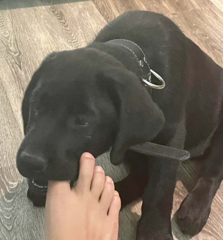 393654555d96e27182ea164ad1