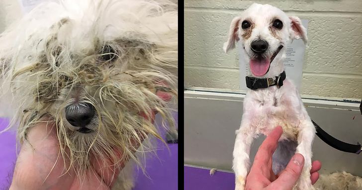 393787582ca6089a51d24f5b64