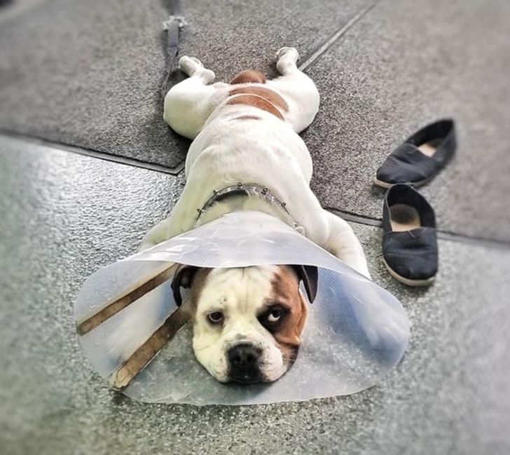 3937e1503fbebf816f423c59b2