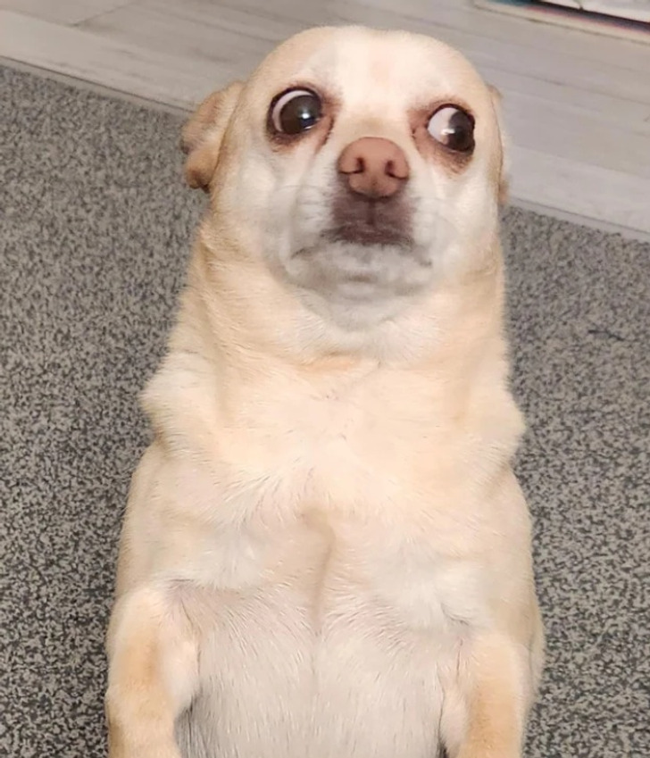 393d0b5dbbb6cd7d507173b51d