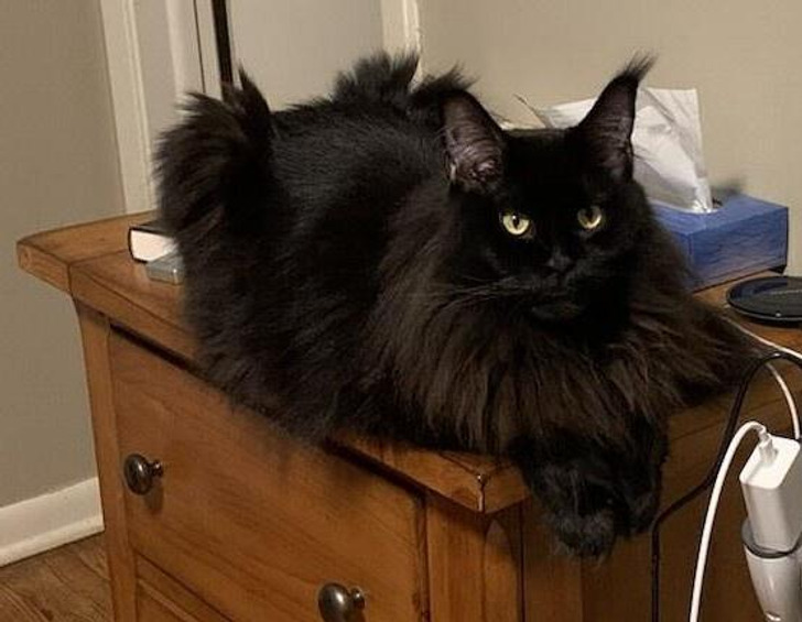 3957e4580fab8a7ae42a63fe56