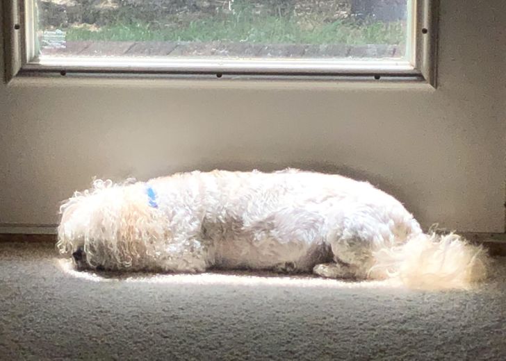 395bb25409b111dd95cb3caf35