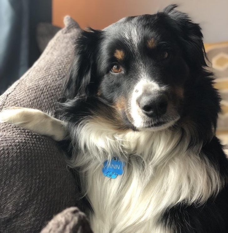 395bfd5ae9954a5a9d2b521c7c