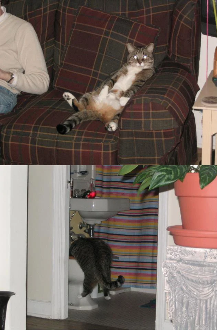 395ddd55aaae9ee17fe18d99da