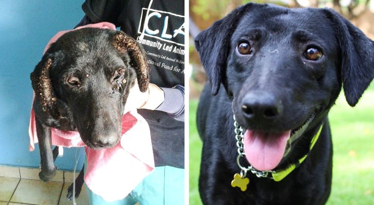 395e0d50709c79beb3e52514f2