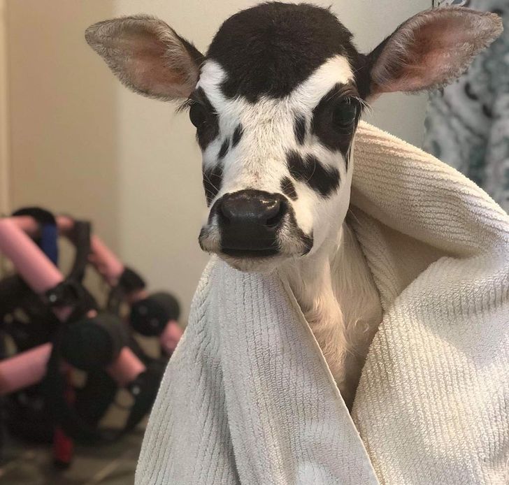 395fad5a94ac1579108a4c29b3