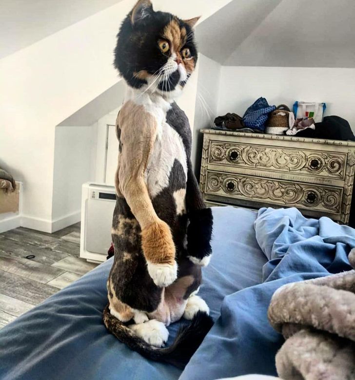 39633b5a91baa3d110f31add56