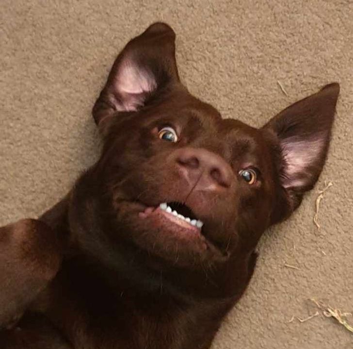 396b50586b9232ac61b2ccbaee