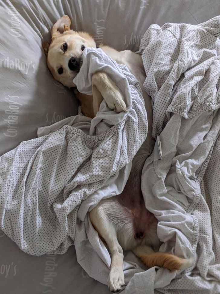 39708f54b18f694bf3ca39adf5