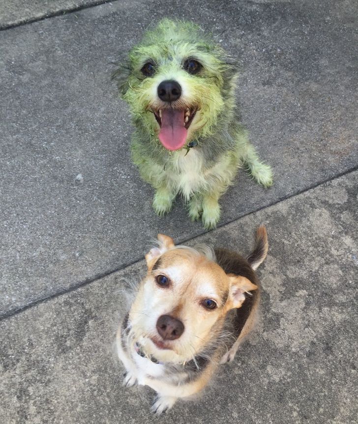 3987a451e688c33243b85bc9ad