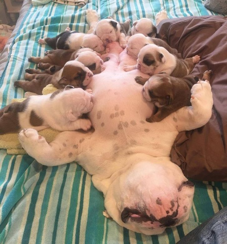 3992965e4e9c58e6905db7c027 3992965e4e9c58e6905db7c027