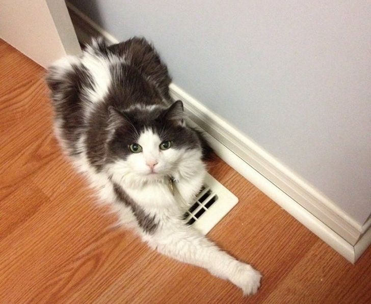 39938d54d0ad237d43777aa553