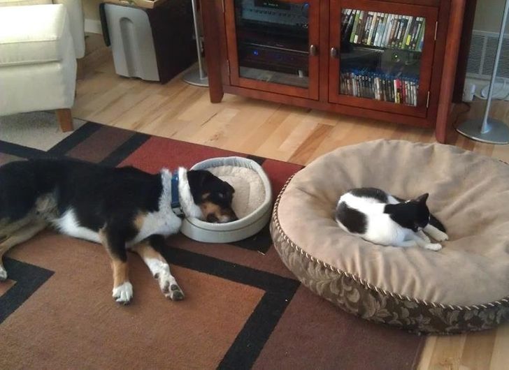 3999a953e7a705b1d4c1fe5f45