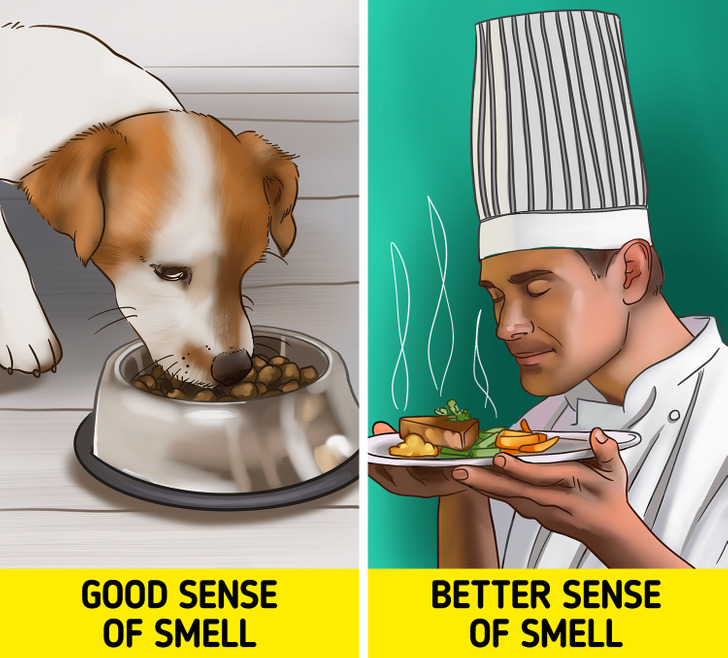 39a11758ab8b560c57ac90885d 39a11758ab8b560c57ac90885d